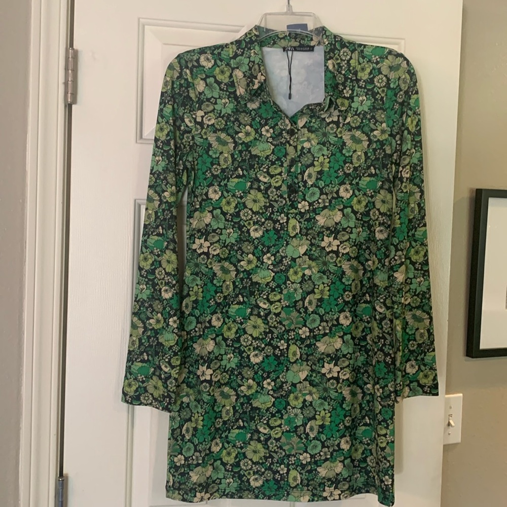 Zara dress